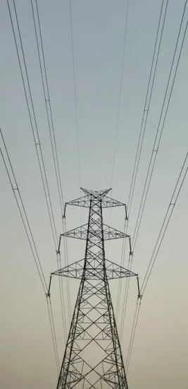 Screenshot 2026-05-26 at 12.39.40 AM